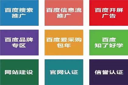 SEM代理助力品牌：案例解析与优化策略
